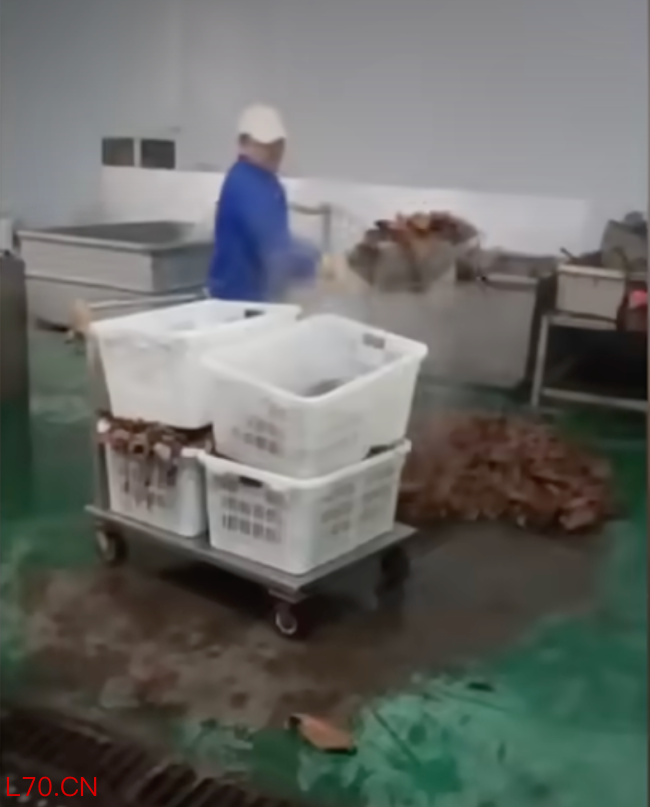 网红“鹿哈”与问题毛肚的关系不止带货，退一赔三费用或在千万以内