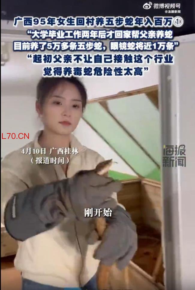 95后姑娘养6万多条毒蛇年入百万
