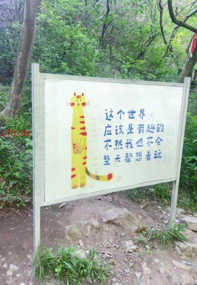 嵩山被撤网红标语牌又换回来了 游客呼声得回应
