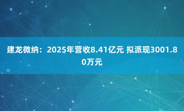 建龙微纳：2025年营收8.41亿元 拟派现3001.80万元