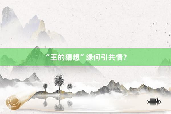 “王的猜想”缘何引共情？