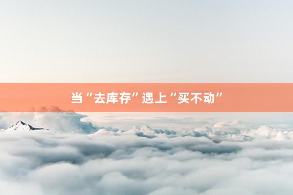 当“去库存”遇上“买不动”