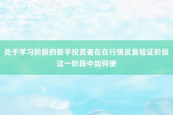 处于学习阶段的新手投资者在在行情反复验证阶段这一阶段中如何使
