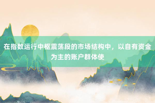 在指数运行中枢震荡段的市场结构中，以自有资金为主的账户群体使