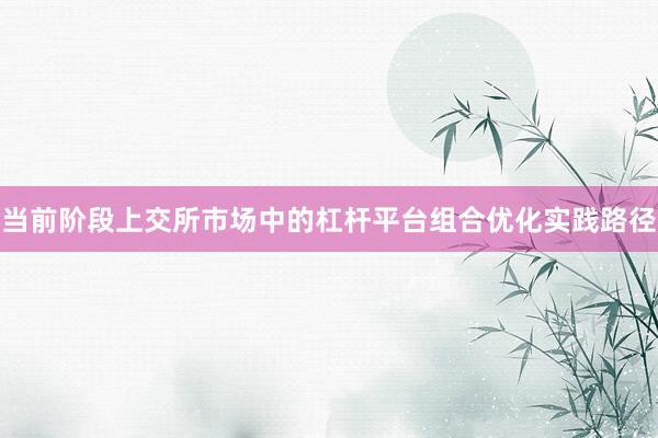 当前阶段上交所市场中的杠杆平台组合优化实践路径
