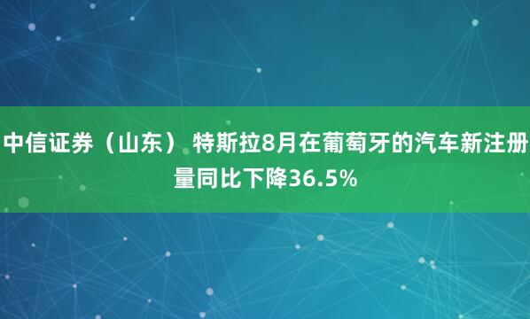 中信证券（山东） 特斯拉8月在葡萄牙的汽车新注册量同比下降36.5%