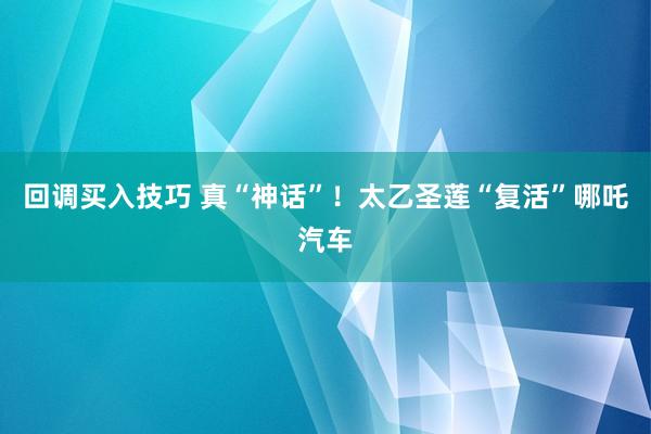 回调买入技巧 真“神话”!太乙圣莲“复活”哪吒汽车